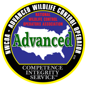 AAWC is Nationally Certified Wildlife Control Operator